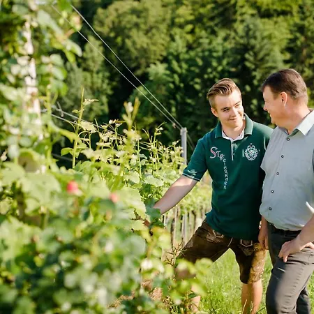 Bed & Breakfast Gaestezimmer Steiner Gamlitz