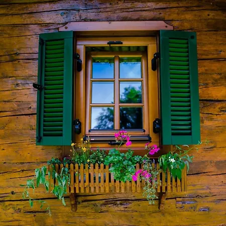Bed & Breakfast Gaestezimmer Steiner *
