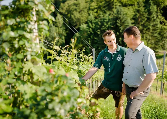 Bed and breakfast Gaestezimmer Steiner Gamlitz