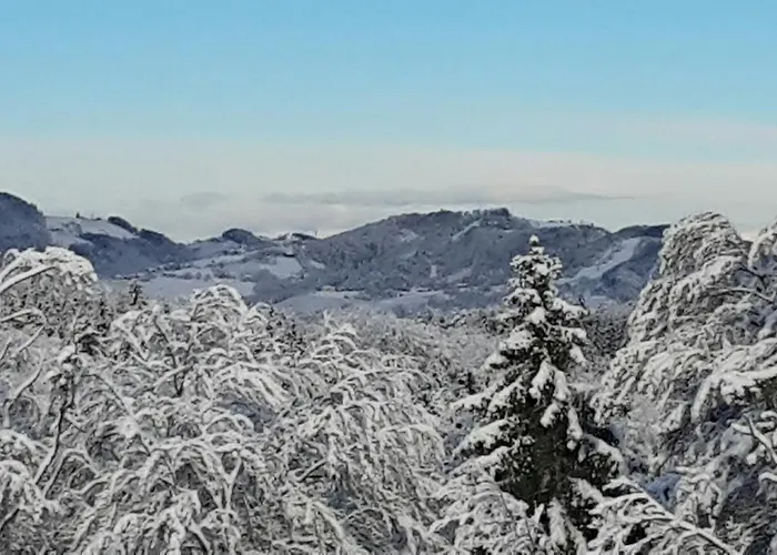Gaestezimmer Steiner